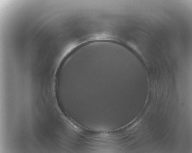 X0000066971463200604072018