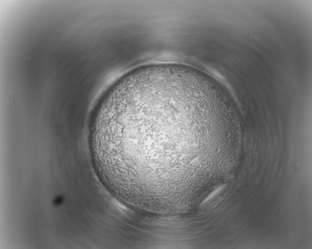 X0000066971464200604072018