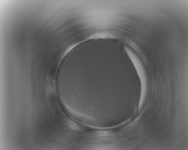 X0000066971465200604072018