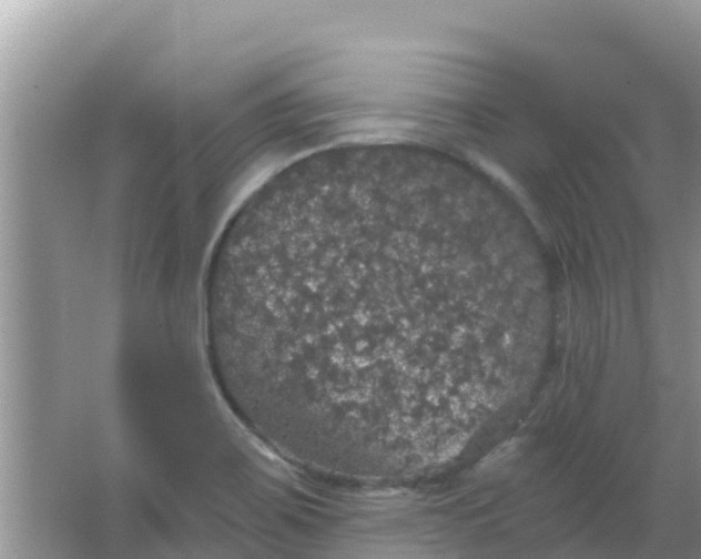 X0000066971467200604072018