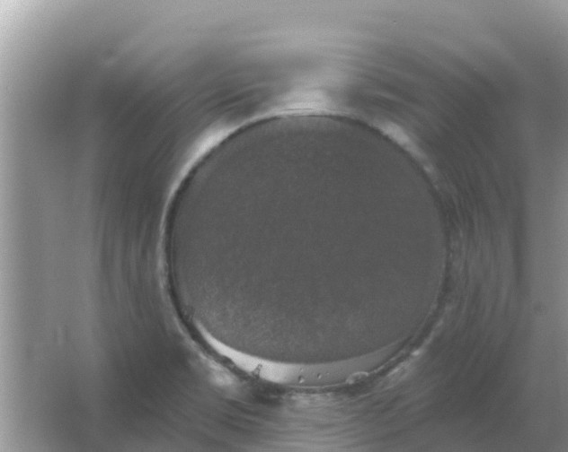 X0000066971469200604072017