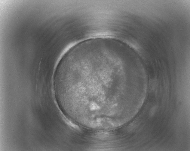 X0000066971470200604072017