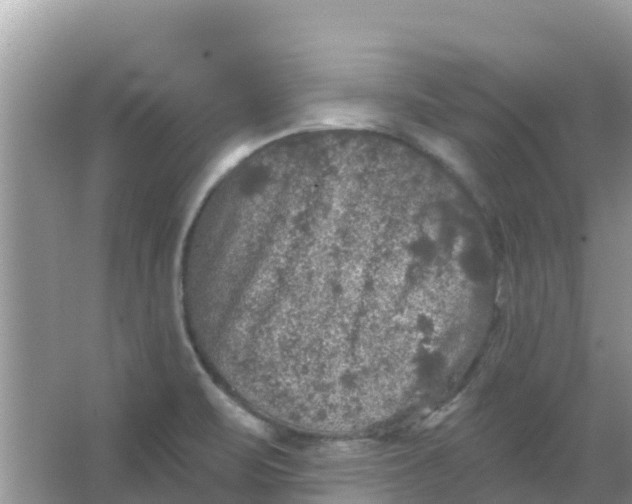 X0000066971471200604072017