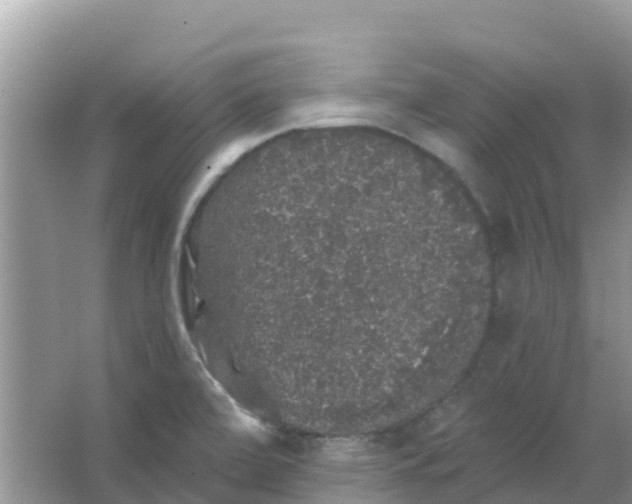 X0000066971472200604072017