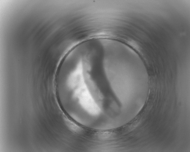 X0000066971474200604072017