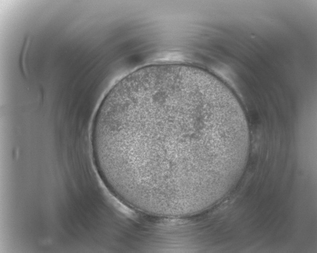 X0000066971475200604072017