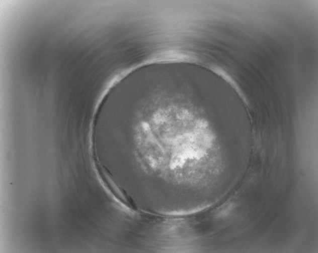 X0000066971477200604072017