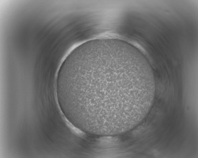 X0000066971478200604072017