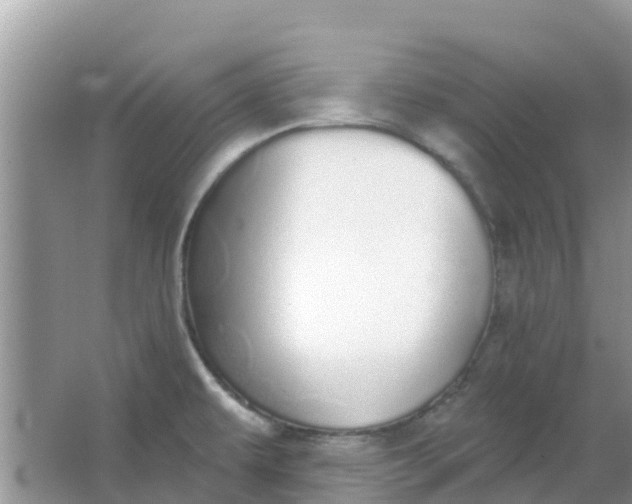 X0000066971479200604072017