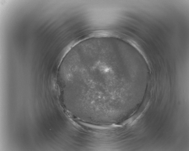 X0000066971481200604072017