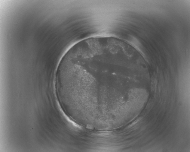 X0000066971484200604072017