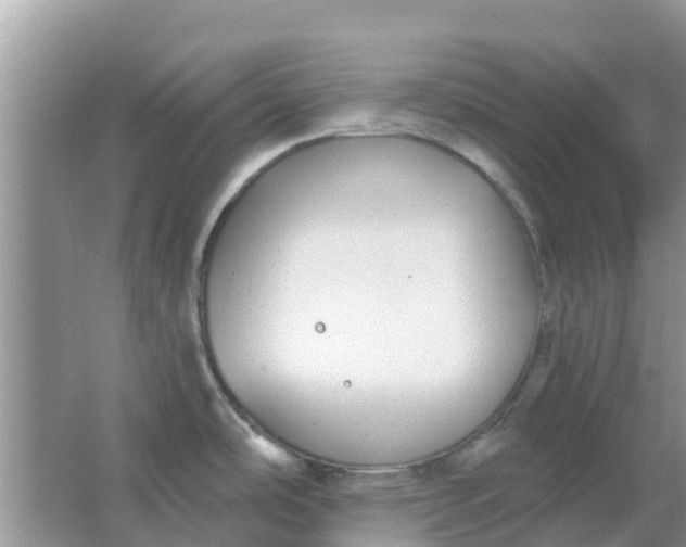 X0000066971486200604072017