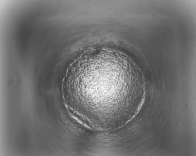 X0000066971489200604072016