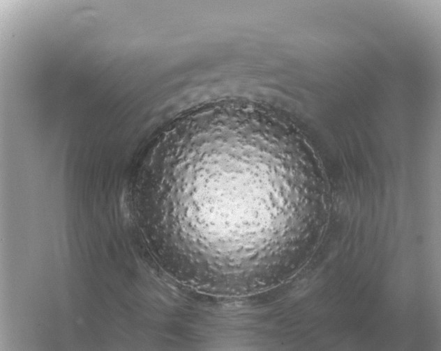 X0000066971490200604072016