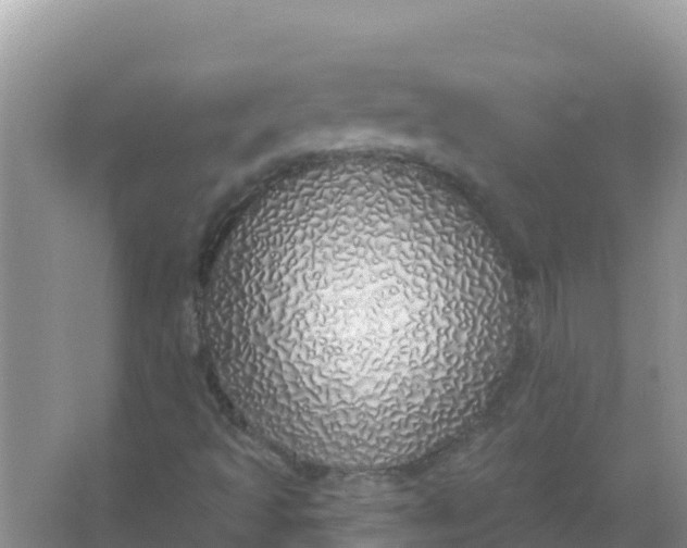 X0000066971493200604072016