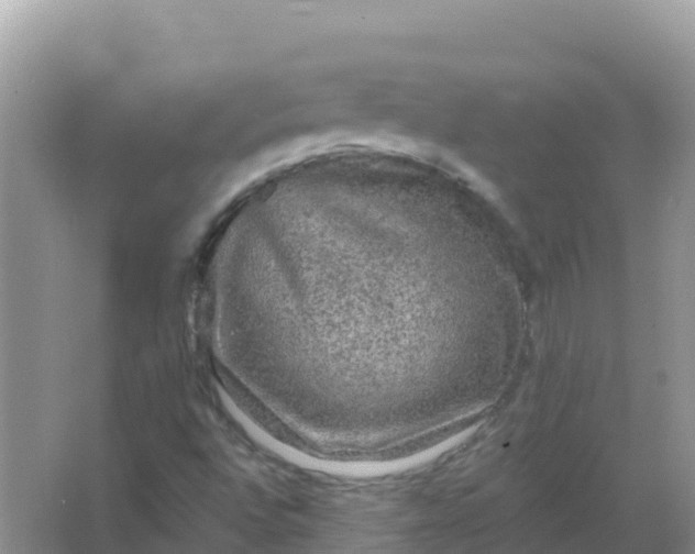 X0000066971496200604072016