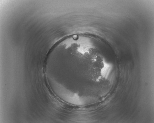 X0000066971497200604072016