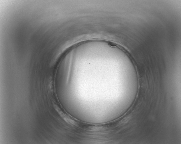 X0000066971499200604072017