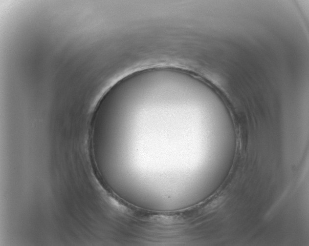 X0000066971500200604072017