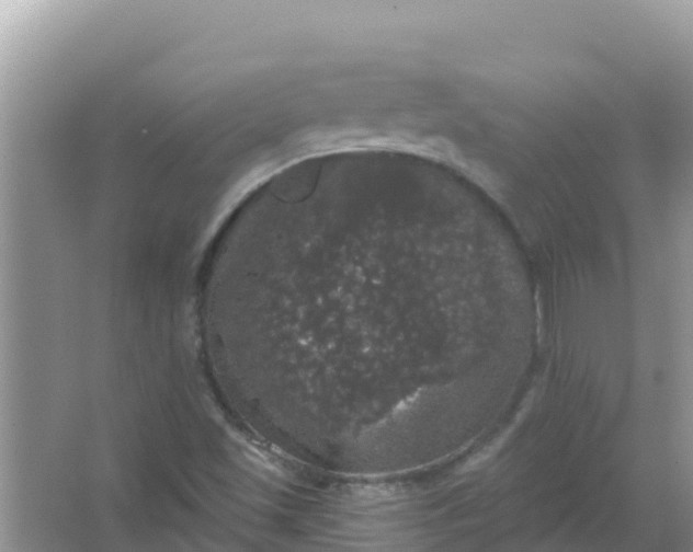 X0000066971501200604072017