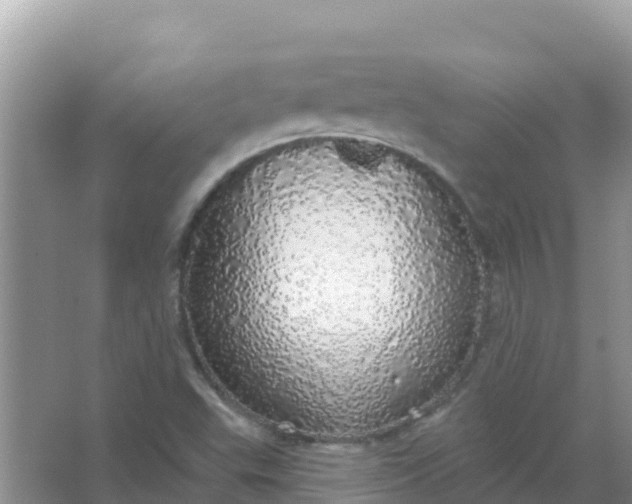 X0000066971503200604072017