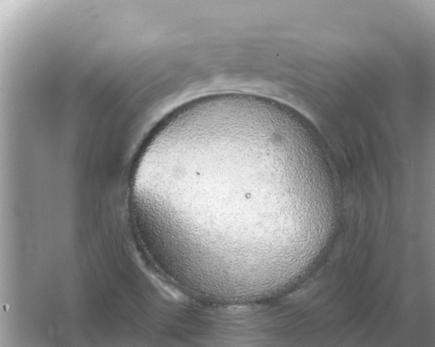 X0000066971507200604072017