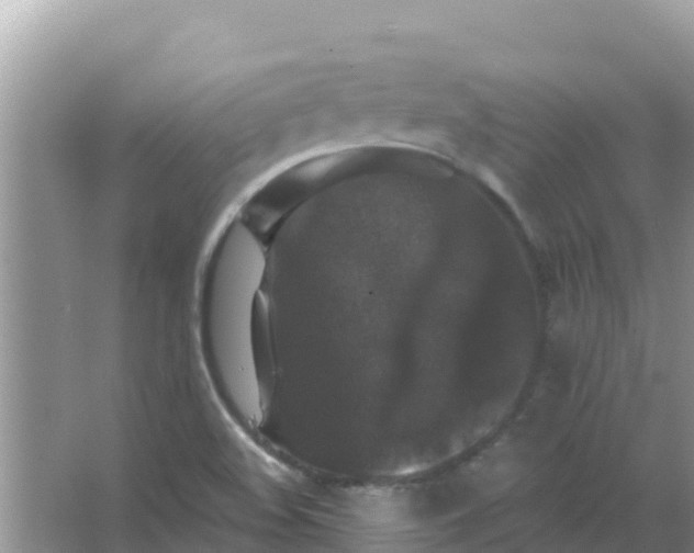 X0000066971508200604072017