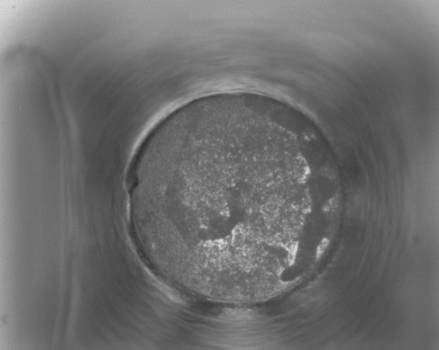 X0000066971509200604072017