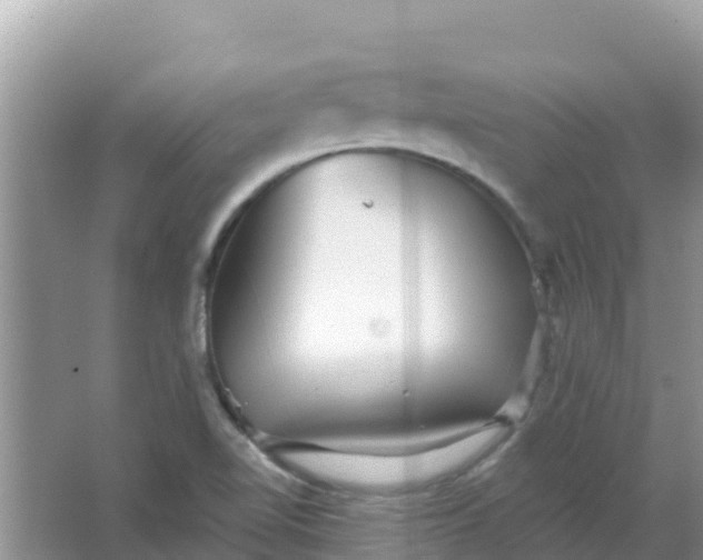 X0000066971510200604072017