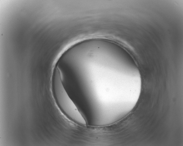 X0000066971512200604072017