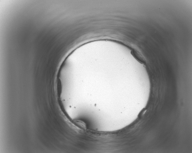 X0000066971516200604072017