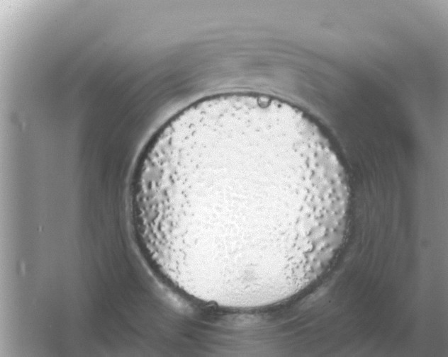 X0000066971517200604072017