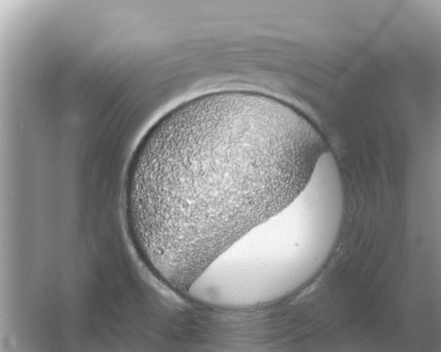 X0000066971518200604072017