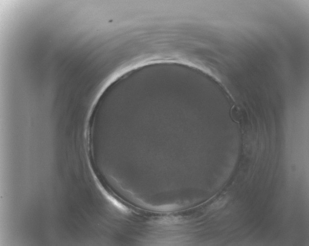 X0000066971519200604072017