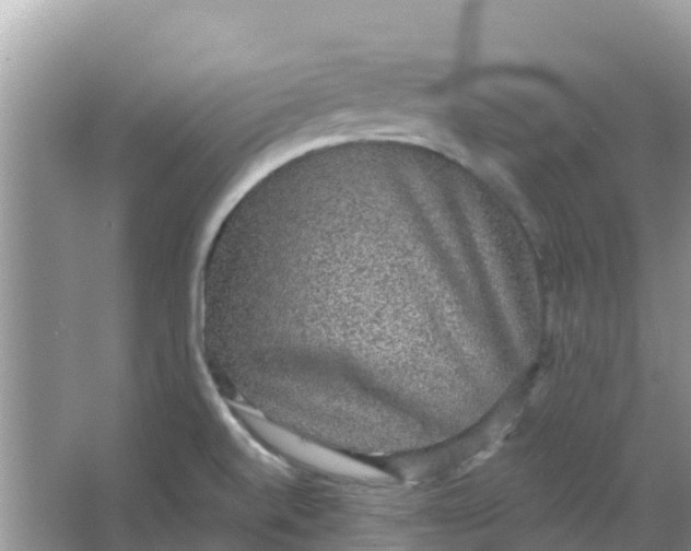 X0000066971520200604072017