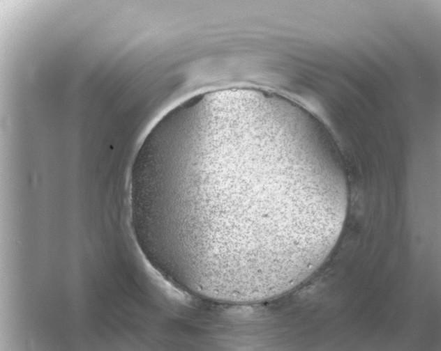 X0000066971524200604072017