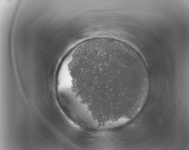 X0000066971525200604072017