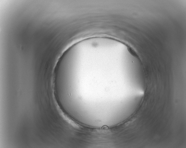 X0000066971526200604072017