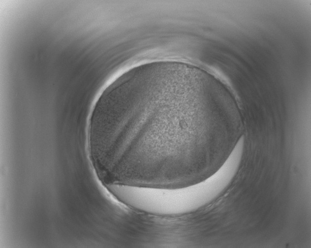 X0000066971528200604072017