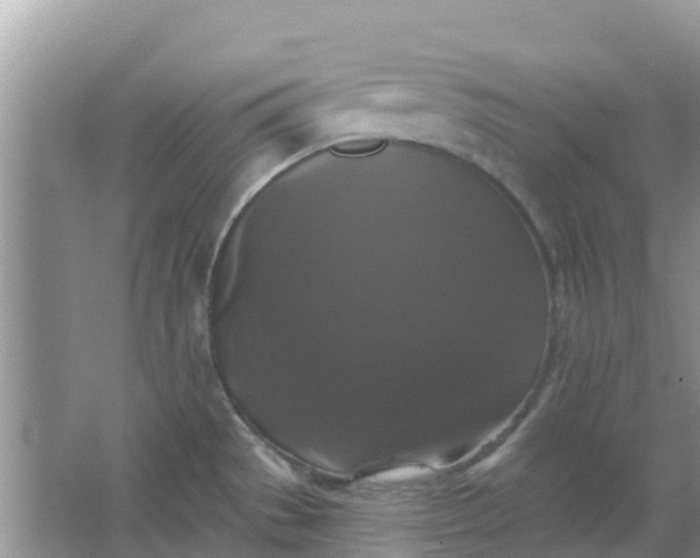 X0000066971529200604072017