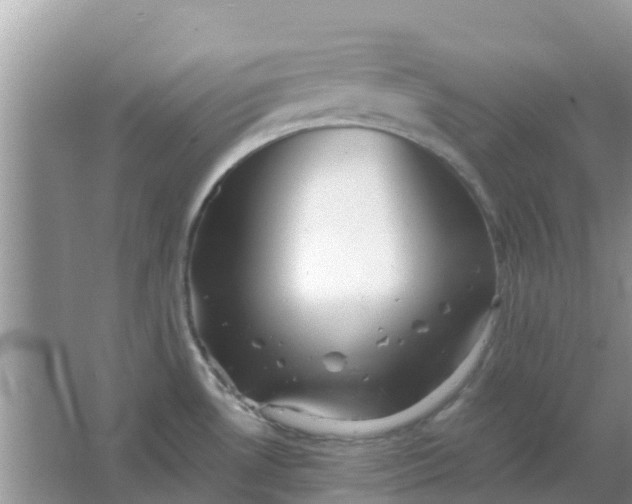 X0000066971530200604072017