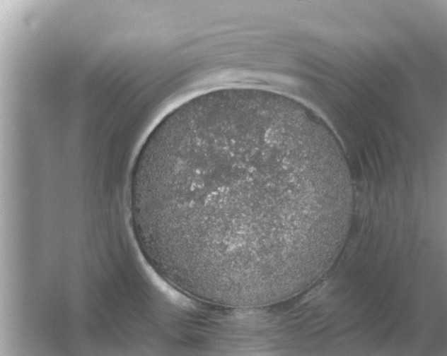 X0000066971531200604072017