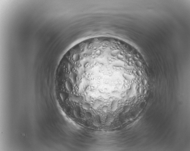 X0000066971534200604072017