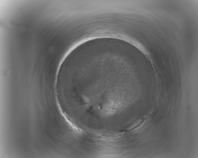 X0000066971536200604072017