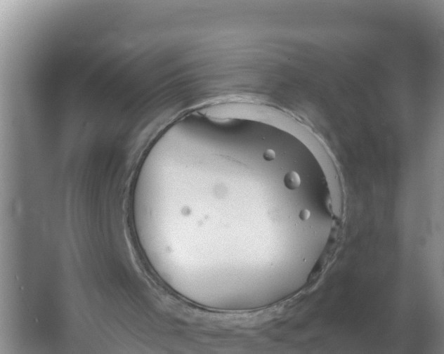 X0000066970001200604142153