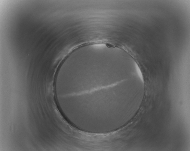 X0000066970002200604142153