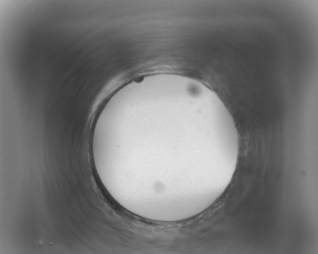 X0000066970004200604142153