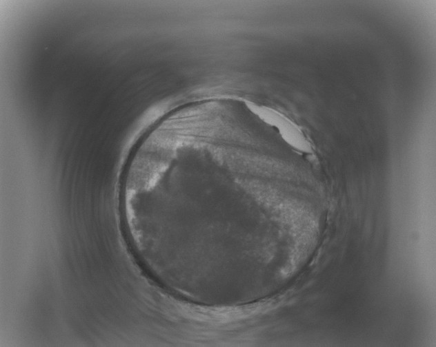 X0000066970006200604142153