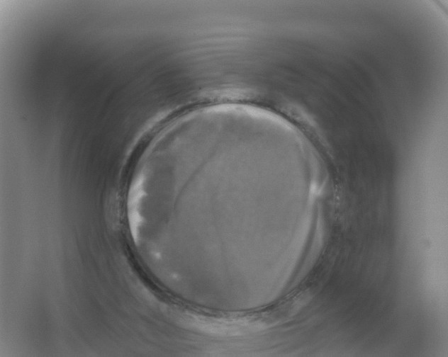 X0000066970012200604142153