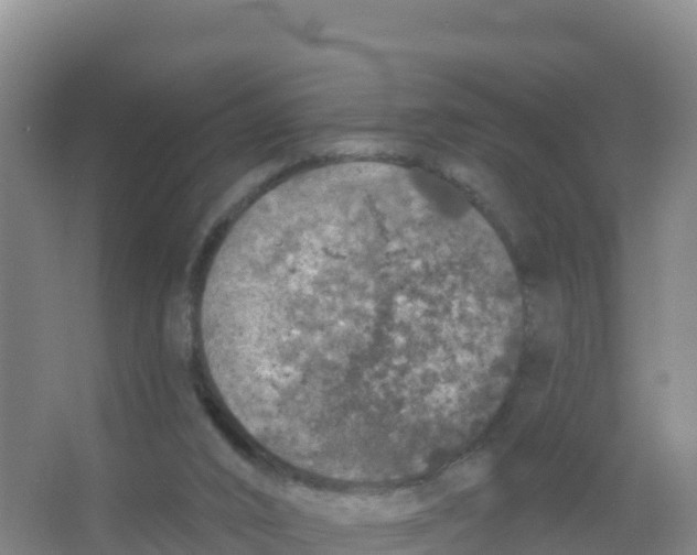 X0000066970016200604142152